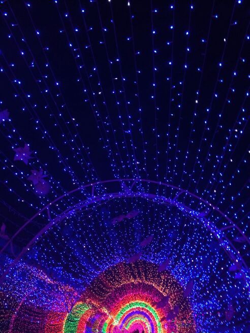 兴义润黔花海国际灯光节