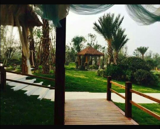 薰衣草庄园花香温泉