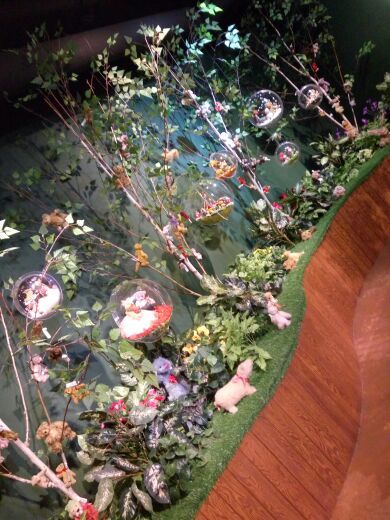 明洞泰迪熊展览馆