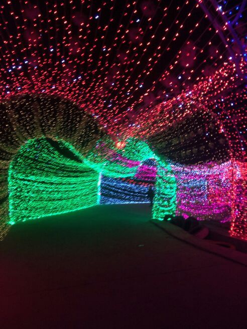 兴义润黔花海国际灯光节