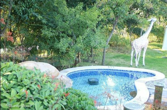 薰衣草庄园花香温泉