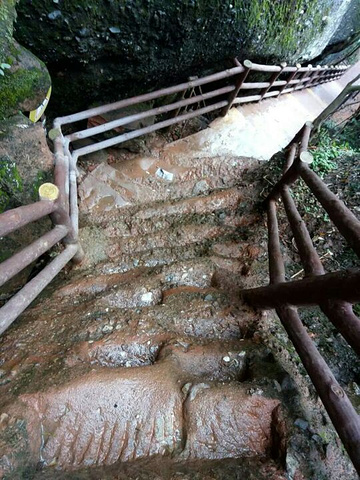 "遗憾的是下雨有雾，未能看到全部景点。景区不错，惊险刺激，很是神奇，值得推荐_丹霞山"的评论图片