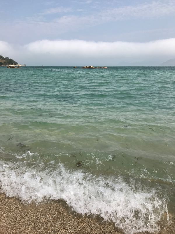 大鹏普罗旺斯花海