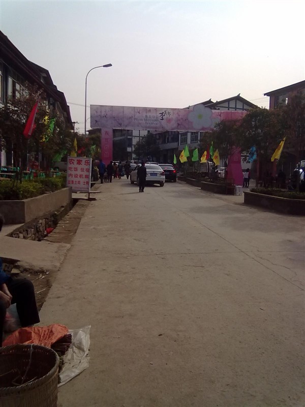 渝北印盒李花生态旅游区