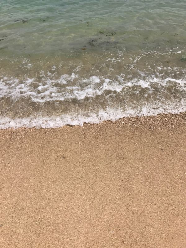 大鹏普罗旺斯花海