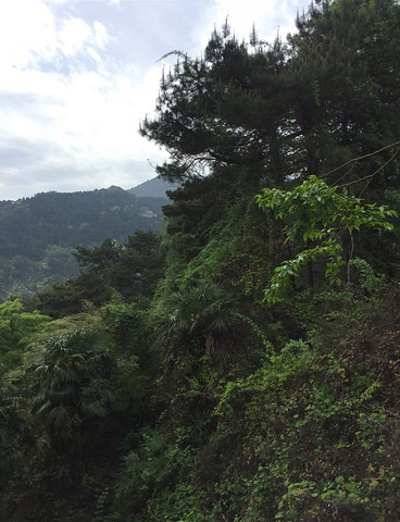 "寺庙很多，如果在山顶住一晚，可以看日出日落，满天星空，如果不住宿的话，基本除了寺庙没啥好看，香客很多_南岳衡山风景名胜区"的评论图片