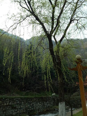 "_翠华山·秦岭终南山世界地质公园"的评论图片