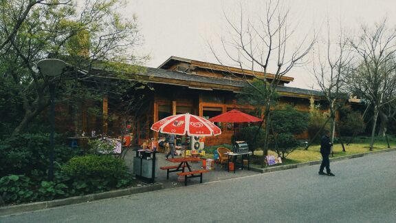 吴淞炮台湾湿地森林公园