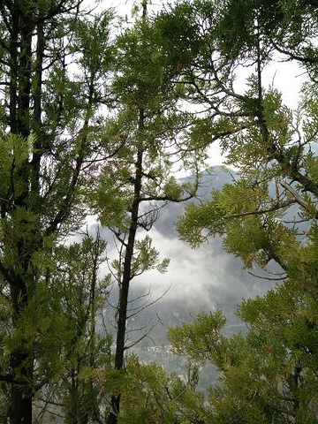 "不错！不错哦哦！好好好好好好好好不错啦！不错哦哦哦_翠华山·秦岭终南山世界地质公园"的评论图片