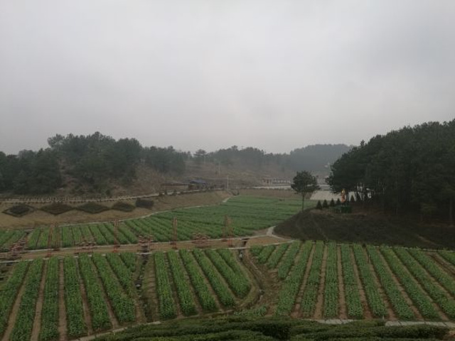 "山清水秀，空气清新，里面有很大的茶花园，油菜花田，帝王庙，水库周边还有休闲设施。适合自驾休闲_五脑山森林公园"的评论图片