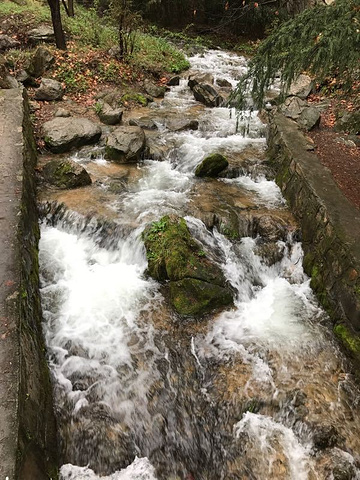 "_翠华山·秦岭终南山世界地质公园"的评论图片