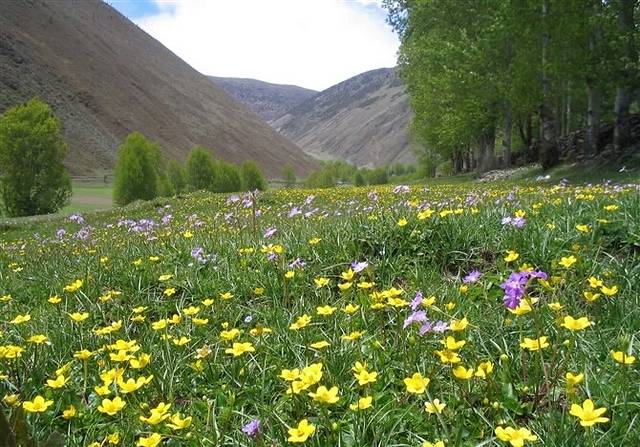 当周草原风景区