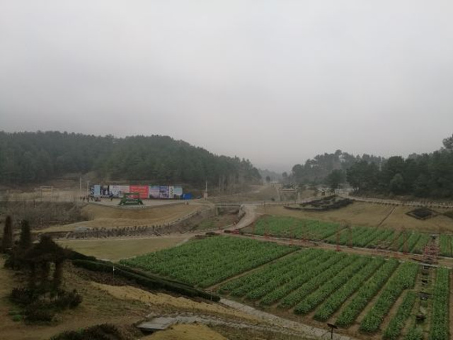 "山清水秀，空气清新，里面有很大的茶花园，油菜花田，帝王庙，水库周边还有休闲设施。适合自驾休闲_五脑山森林公园"的评论图片