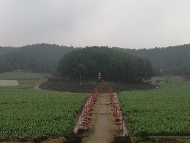 "山清水秀，空气清新，里面有很大的茶花园，油菜花田，帝王庙，水库周边还有休闲设施。适合自驾休闲_五脑山森林公园"的评论图片