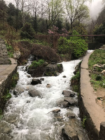 "_翠华山·秦岭终南山世界地质公园"的评论图片