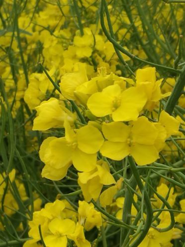 汉中洋县朱鹮自然保护区