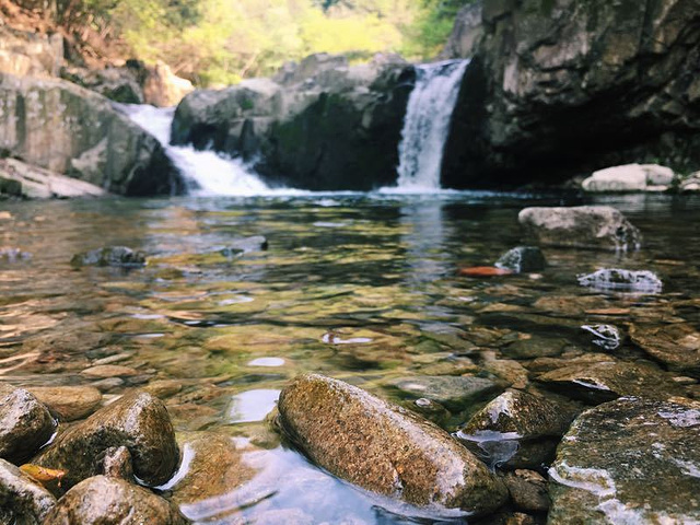 溪水潺潺 成片成片的竹林被风吹过后发出簌簌的声音令人身心愉悦_浙东