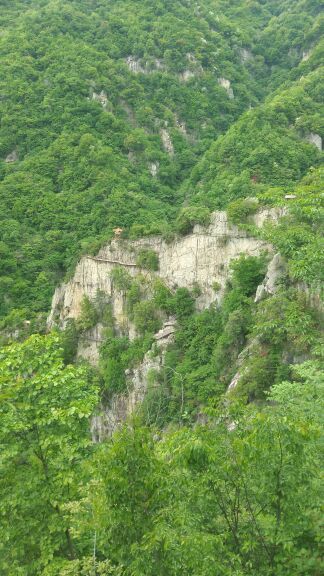 南阳西峡银树沟生态旅游区