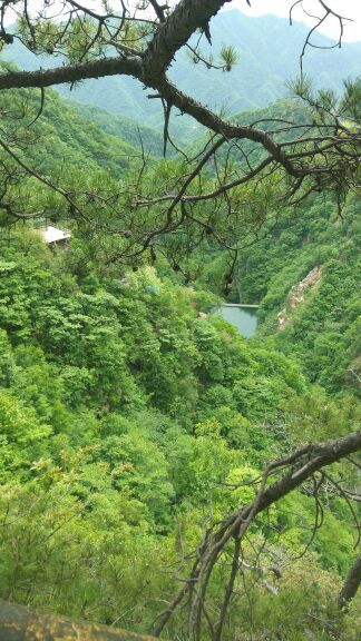 南阳西峡银树沟生态旅游区