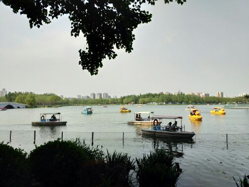 朝阳公园勇敢者乐园