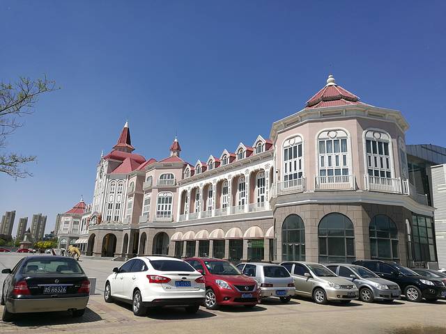 曹庄花卉宠物市场