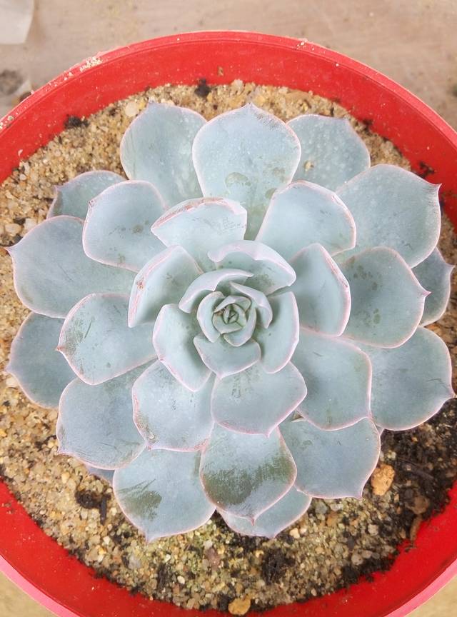 广东航天农业科技生态园