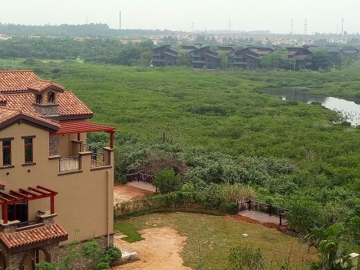 富力红树湾高尔夫球会