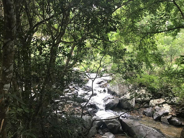 "_五指山水满河热带雨林风景区"的评论图片