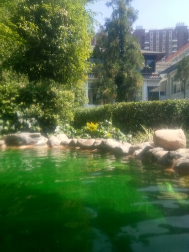 汤池热水河温泉