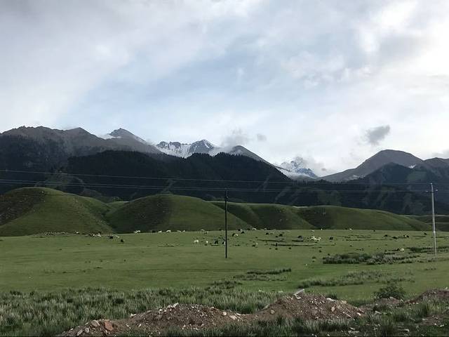 乌苏佛山国家森林公园