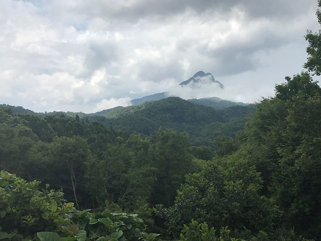 "_五指山水满河热带雨林风景区"的评论图片