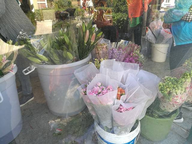 曹庄花卉宠物市场