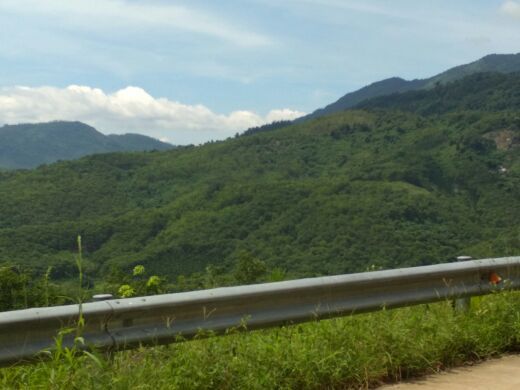 黎母山国家森林公园