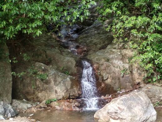 黎母山国家森林公园