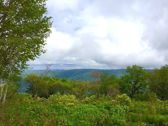 亚布力虎峰岭簸箕崴子景区