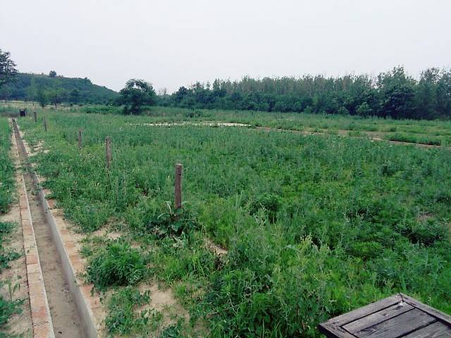 汉长安城未央宫国家考古遗址公园