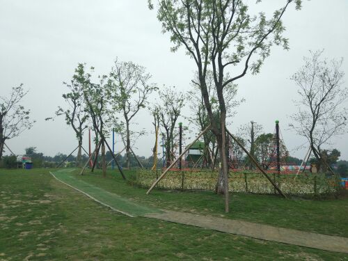 好秾人·鹅的假日农场