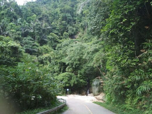 黎母山国家森林公园