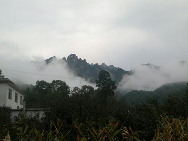 "空气还特别好，前几天去的真是凉快，景区吃住也很方便山下有不少的农家院，我们住的是17号农家院，..._老界岭旅游度假区"的评论图片