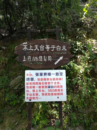 天台景区