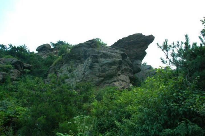 "_国路夼生态旅游风景区"的评论图片