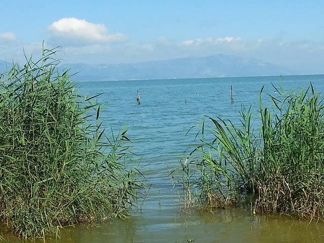 捞鱼河湿地公园