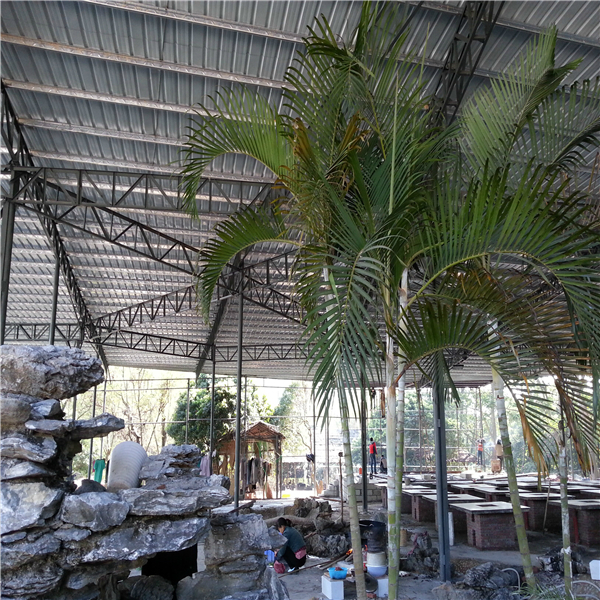 东莞农家乐松湖生态园