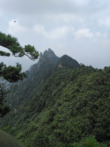 "上山栈道树木遮天蔽日，山间凉风拂面，身旁山泉流淌，触手冰凉。天然氧吧，避暑胜地，当之无愧_老界岭旅游度假区"的评论图片