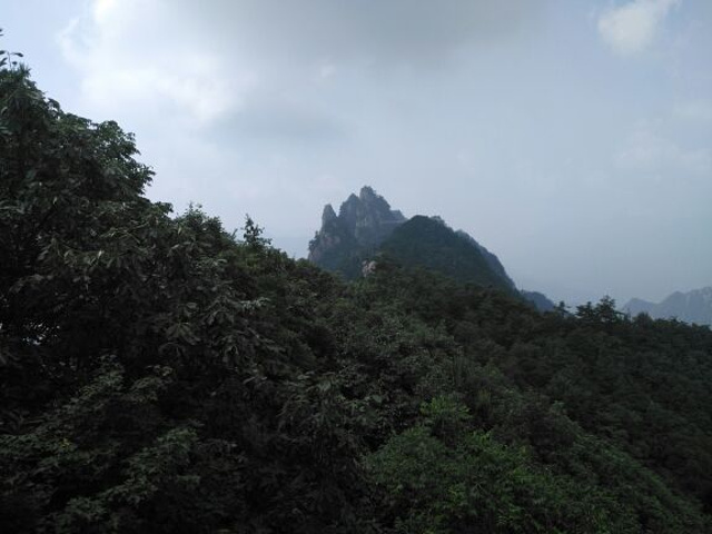 "上山栈道树木遮天蔽日，山间凉风拂面，身旁山泉流淌，触手冰凉。天然氧吧，避暑胜地，当之无愧_老界岭旅游度假区"的评论图片