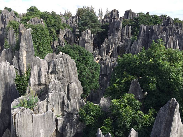 "值得推荐_石林风景区"的评论图片