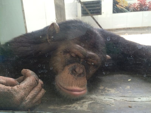 我个人觉得比门票都贵,不划算_秦岭野生动物园"的评论图片