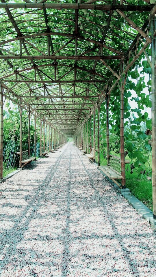 红石沟休闲生态农场