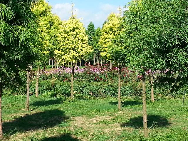 捞鱼河湿地公园