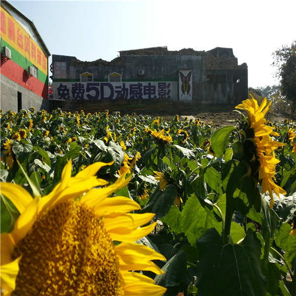 东莞农家乐松湖生态园